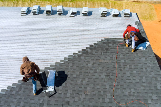 Best Metal Roofing Contractor  in Johnson Creek, WI