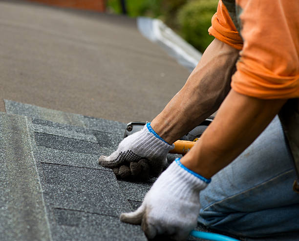 Best Roof Repair Services  in Johnson Creek, WI